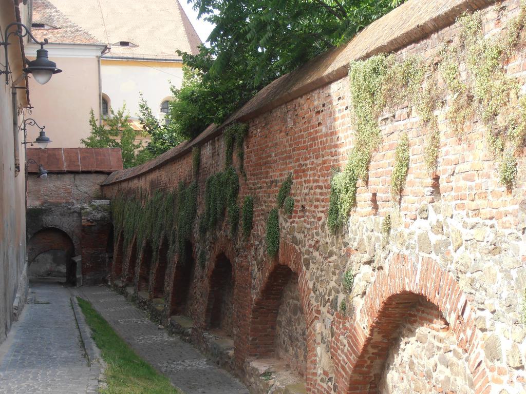 Gothic House Daire Sibiu Dış mekan fotoğraf